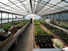 L'impianto di gassificazione produce energia elettrica L'impianto di gassificazione produce energia elettrica